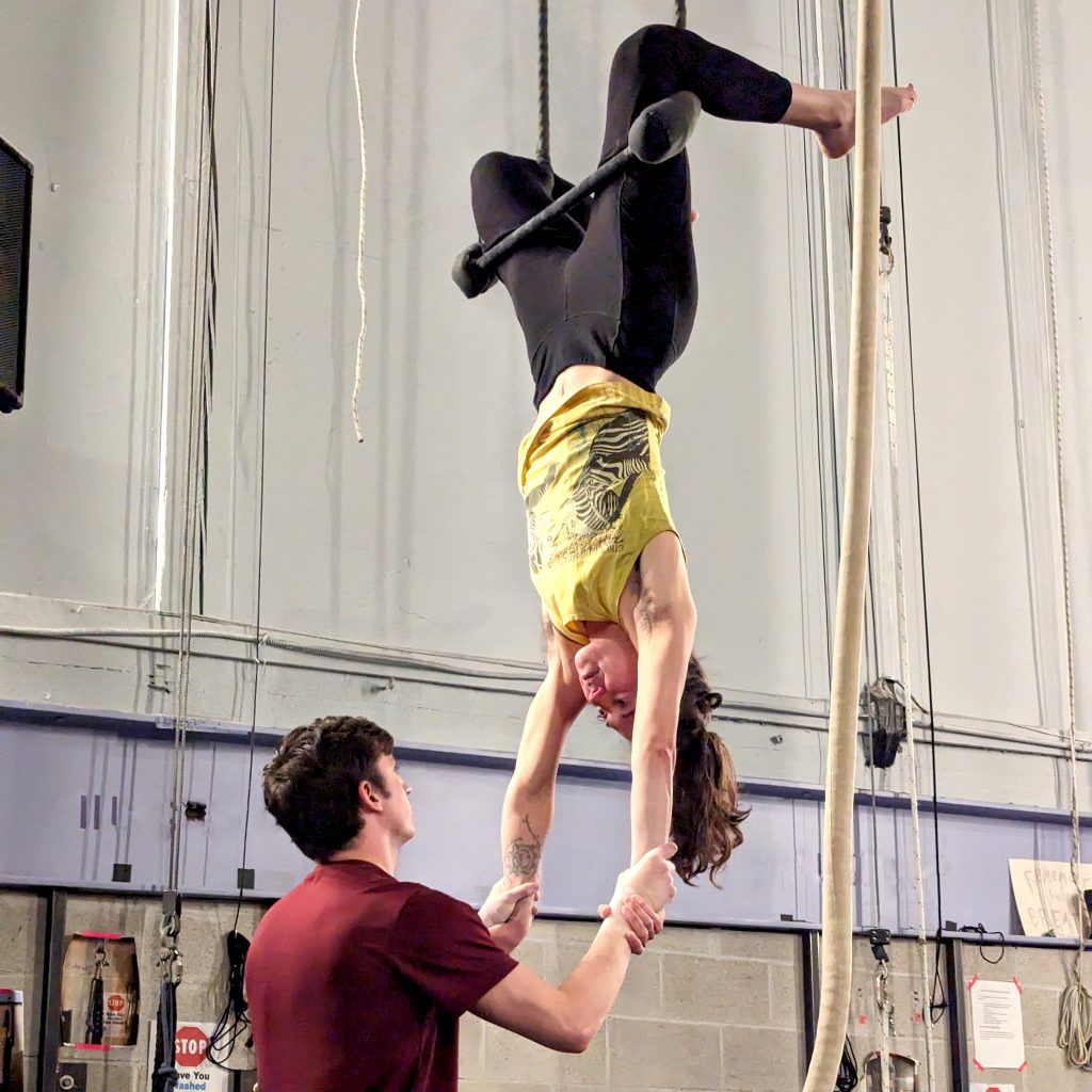 Aerial Trapeze