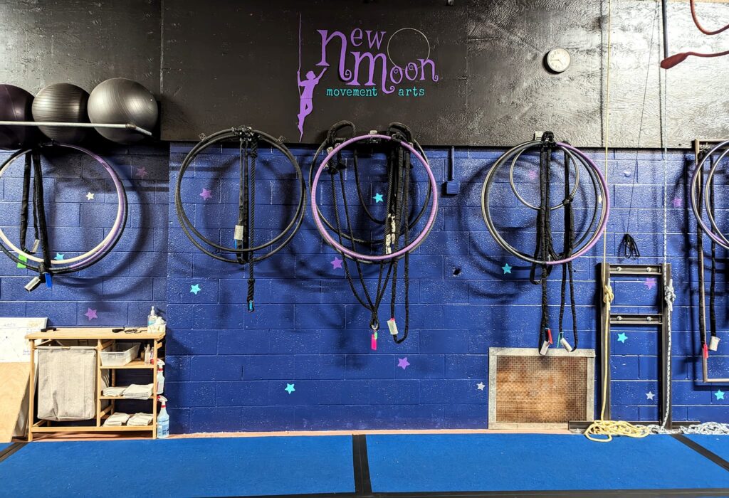 New Moon Arts - Lyra and Aerial Hoops