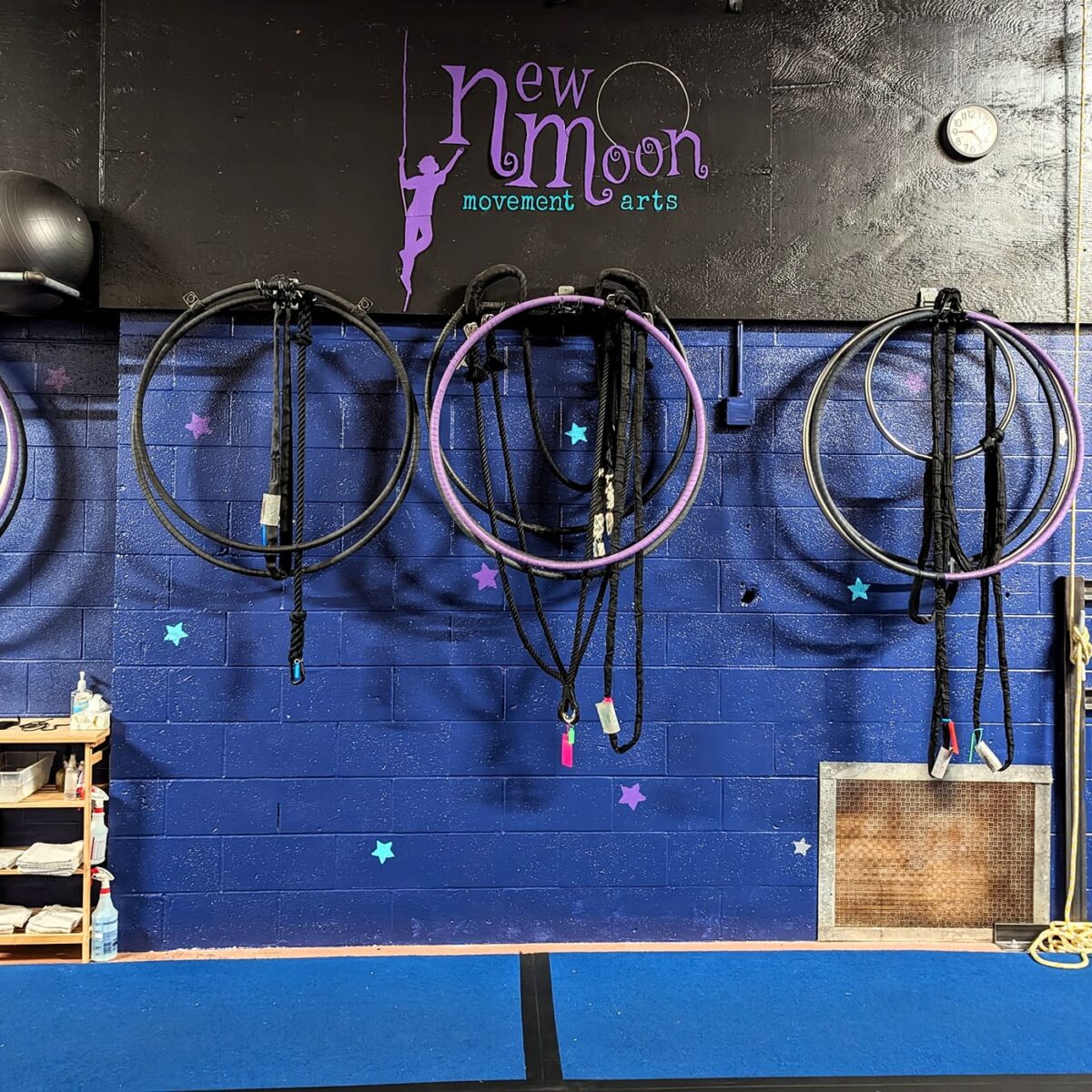 New Moon Arts - Lyra and Aerial Hoops